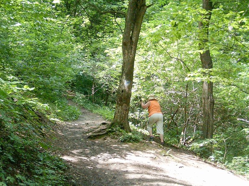 2010.07.24. 038.jpg
